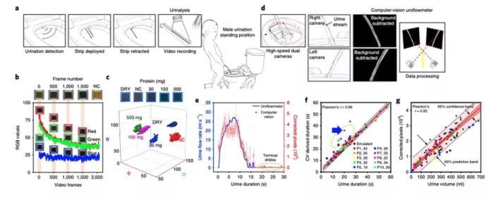 La huella anal como identificador biométrico