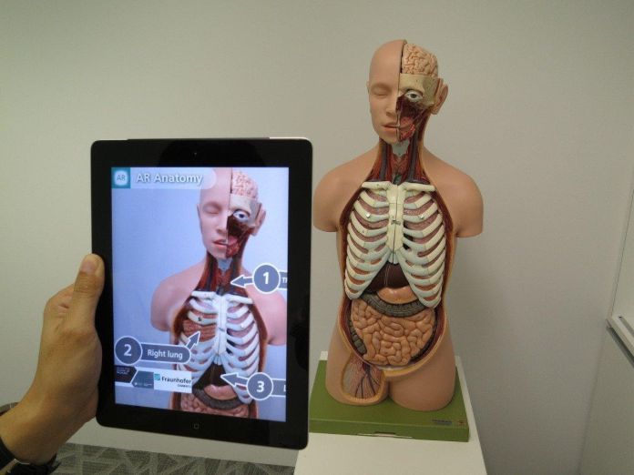 Persona usa la tableta para identificar problemas médicos en el maniquí, concepto de aplicaciones de software de anatomía